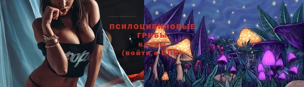 a pvp Аркадак