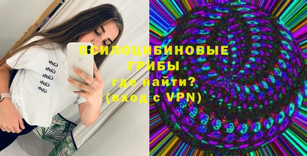 a pvp Аркадак